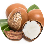 Shea Butter
