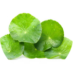 Centella Asiatica